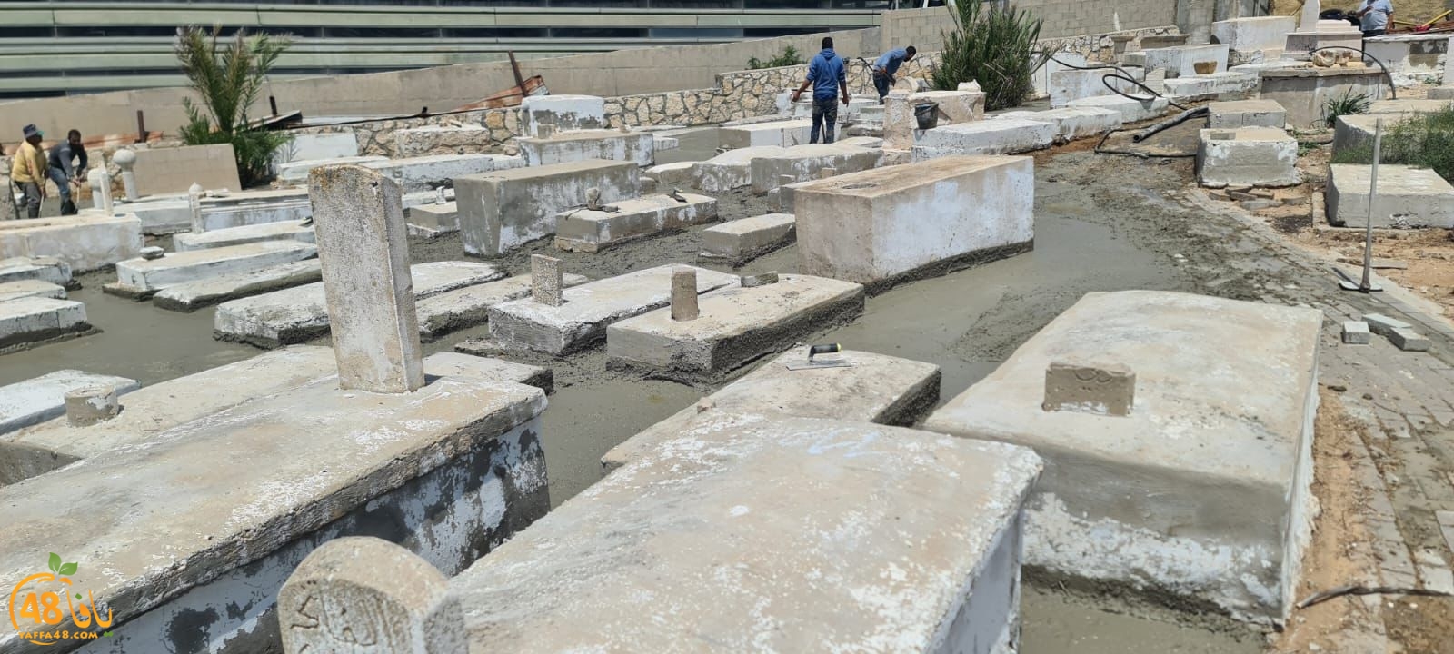 WhatsApp Image 2023-06-03 at 10.12.28 AM.jpeg